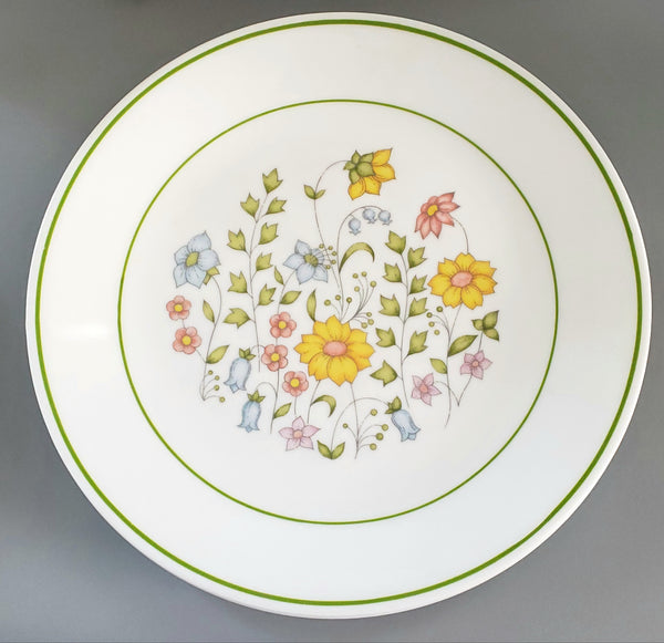 Vintage Corelle 12 Piece Dinnerware "Meadow" Pattern by Corning c. 1976-1986
