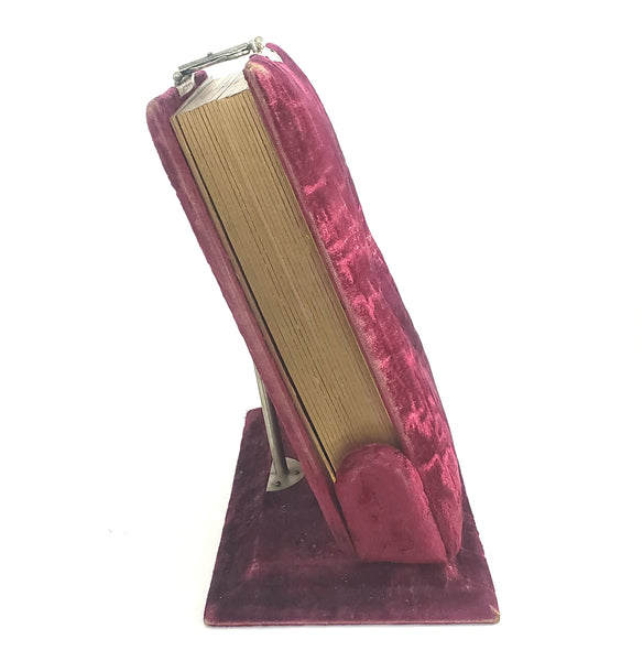 Antique Victorian Red Velvet Photo Album with Portrait Cabinet Cards with Names