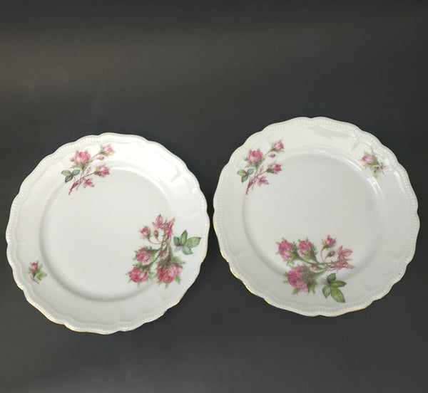 Vintage Porcelain China Collection "Moss Rose" by Jaeger & Co. Germany
