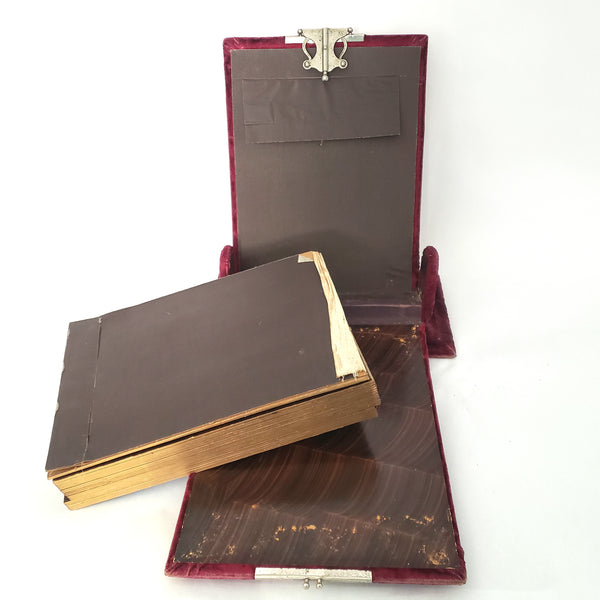 Antique Victorian Red Velvet Photo Album with Portrait Cabinet Cards with Names
