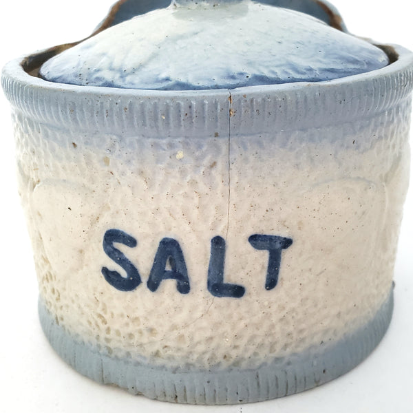 Antique Blue and White Glazed Stoneware Salt Crock Butterfly with Lid