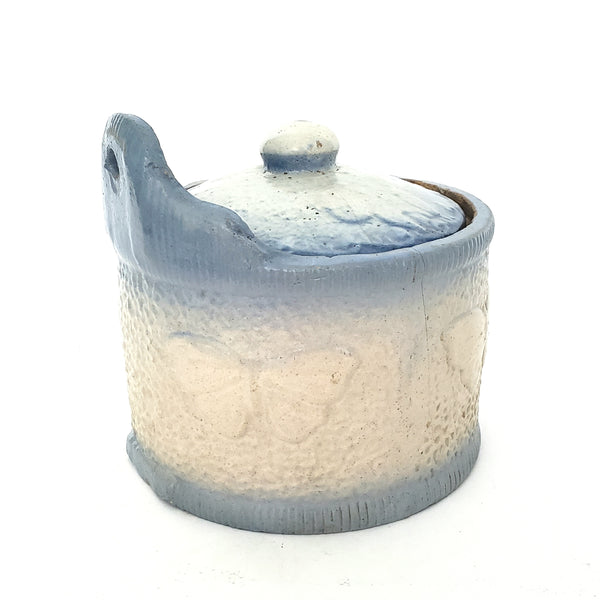 Antique Blue and White Glazed Stoneware Salt Crock Butterfly with Lid