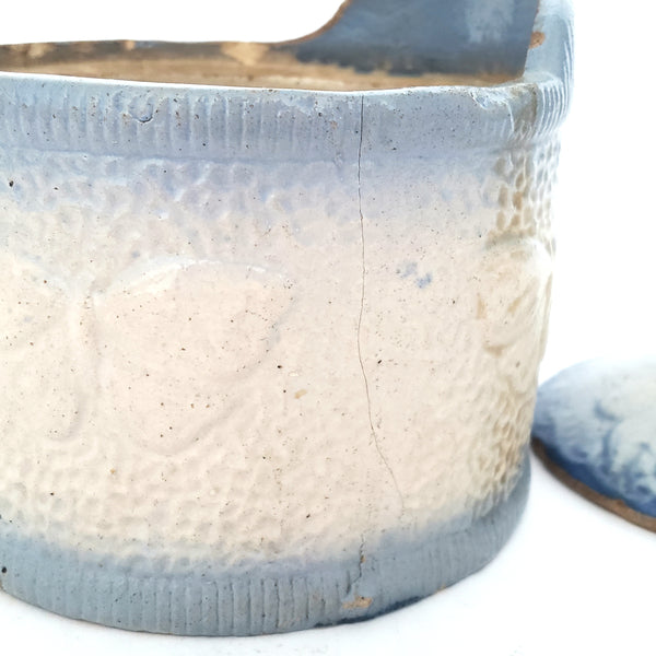 Antique Blue and White Glazed Stoneware Salt Crock Butterfly with Lid