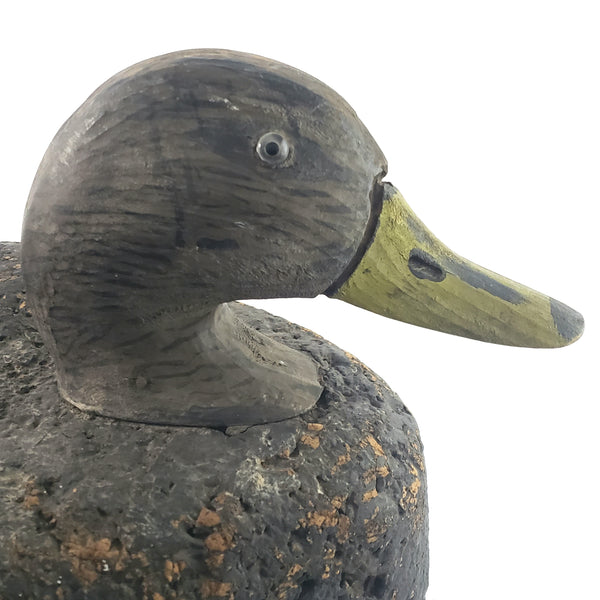 Large Vintage Cork and Wood Decoy Duck 19" Long Glass Eyes Signed