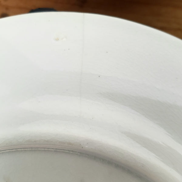 Antique White Ironstone Salad Plates Set of 6 Wheat CERES Shape Turner, Goddard & Co. England