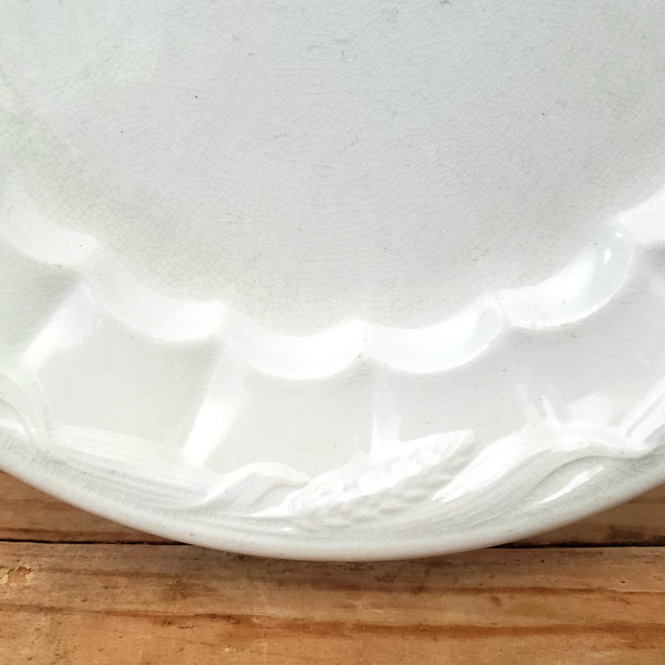Antique White Ironstone Salad Plates Set of 6 Wheat CERES Shape Turner, Goddard & Co. England