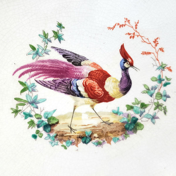 Antique Hand Painted Plates Set of 6 Made for Tiffany NY by Booths Ltd England
