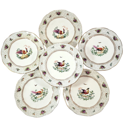 Antique Hand Painted Plates Set of 6 Made for Tiffany NY by Booths Ltd England