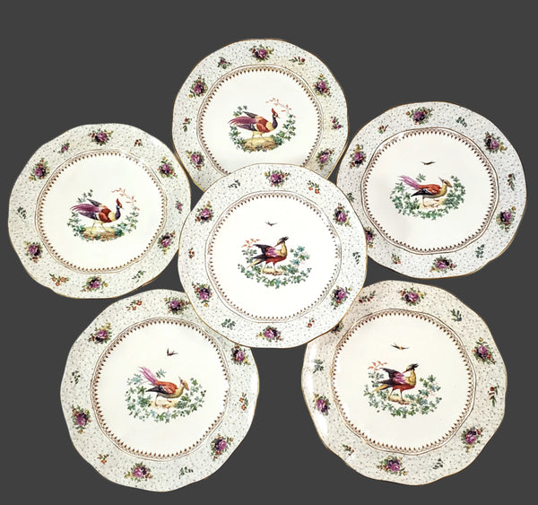 Antique Hand Painted Plates Set of 6 Made for Tiffany NY by Booths Ltd England
