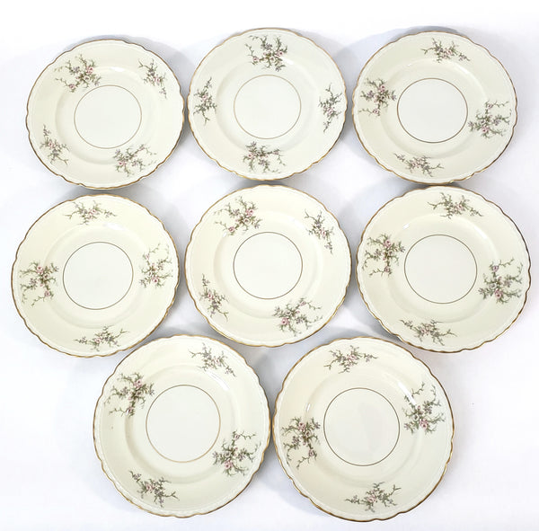 Arcadian OLD ROSE Salad Plate Set of 8 Newark, New York 1950s-1960s
