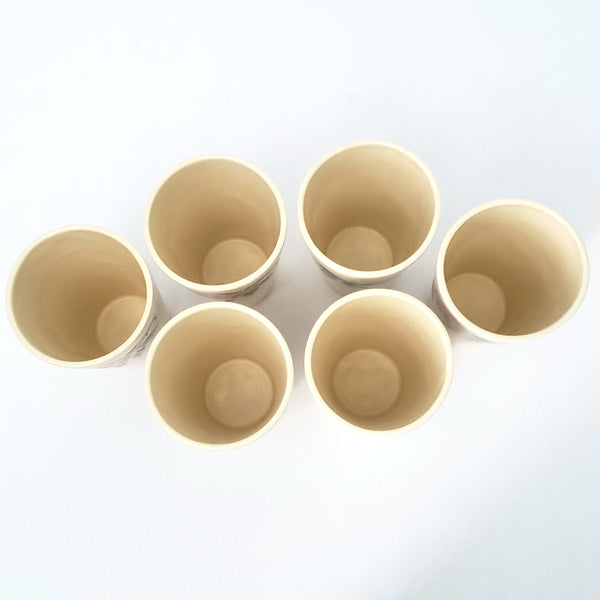 Vintage Franciscan DESERT ROSE Hand Painted Ceramic Tumblers Set of 6