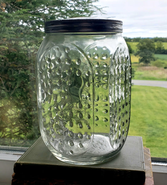 Vintage Hoosier Glass Storage Jar RAISED DOT Pattern 7"