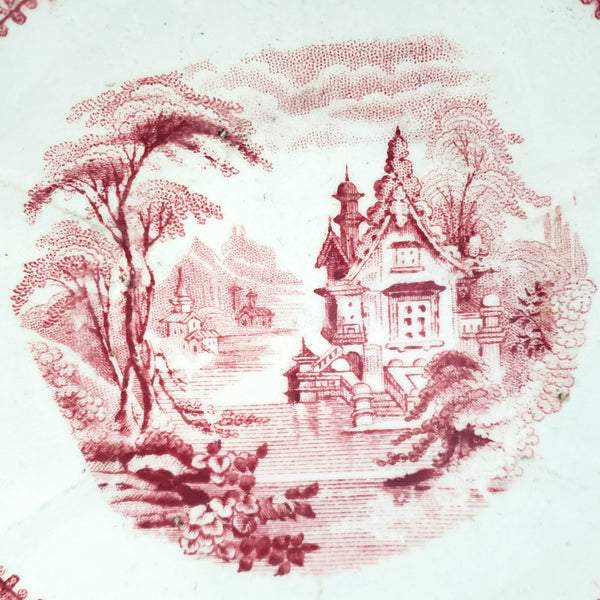 Antique Red Transferware Ironstone Handleless Cup & Saucer ROSELLE J. Meir & Son