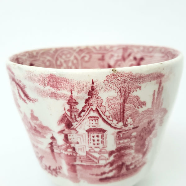 Antique Red Transferware Ironstone Handleless Cup & Saucer ROSELLE J. Meir & Son