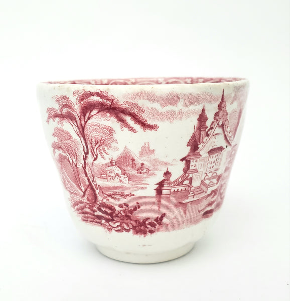 Antique Red Transferware Ironstone Handleless Cup & Saucer ROSELLE J. Meir & Son