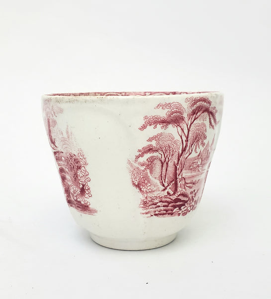 Antique Red Transferware Ironstone Handleless Cup & Saucer ROSELLE J. Meir & Son
