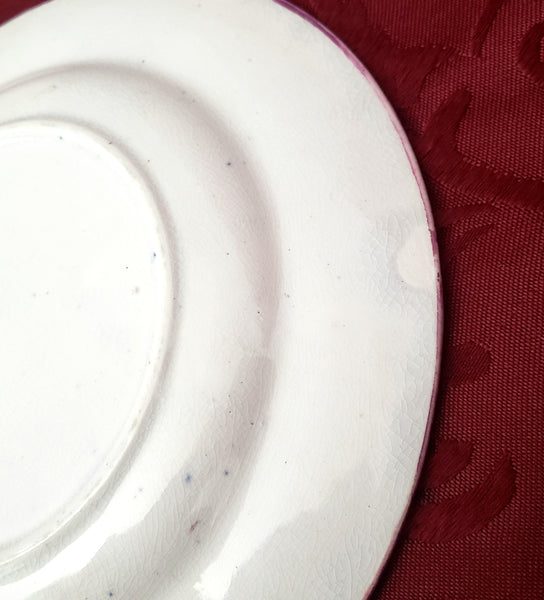 Antique Gaudy Welsh Side Plates Saucers 10 piece Staffordshire England