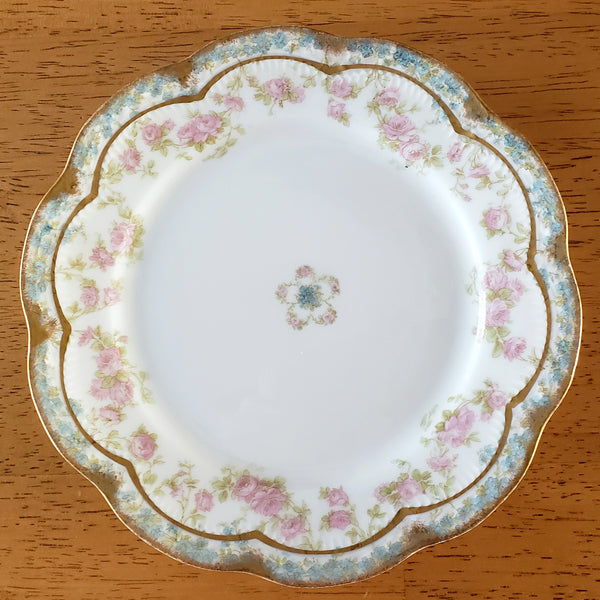 Three Piece Antique Porcelain Dinnerware Plates Haviland & Co Limoges France