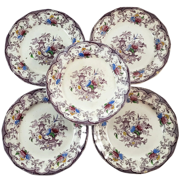 Antique Polychrome Transferware Plate Set of 5 FLORILLA by E. Challinor England
