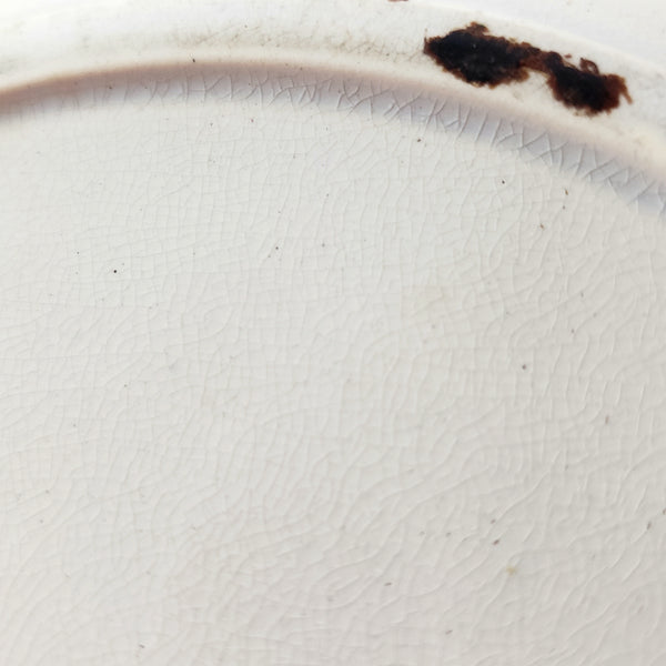 Antique Polychrome Transferware Plate Set of 5 FLORILLA by E. Challinor England