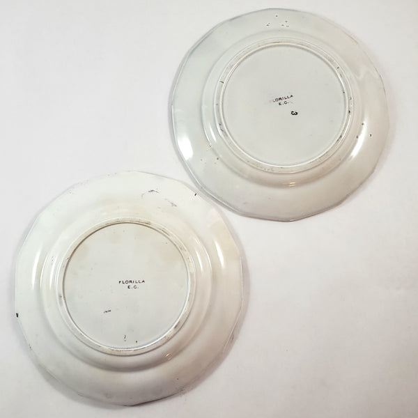 Antique Polychrome Transferware Plate Set of 5 FLORILLA by E. Challinor England