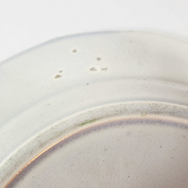 Antique Polychrome Transferware Plate Set of 5 FLORILLA by E. Challinor England