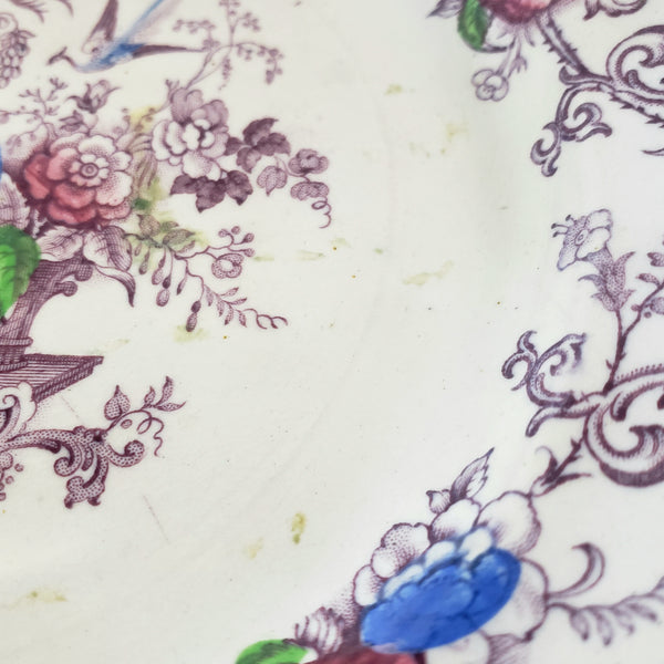 Antique Polychrome Transferware Plate Set of 5 FLORILLA by E. Challinor England