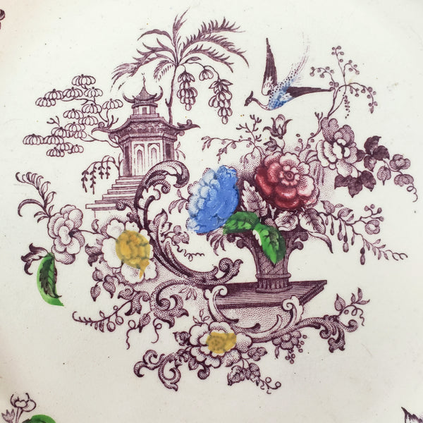 Antique Polychrome Transferware Plate Set of 5 FLORILLA by E. Challinor England