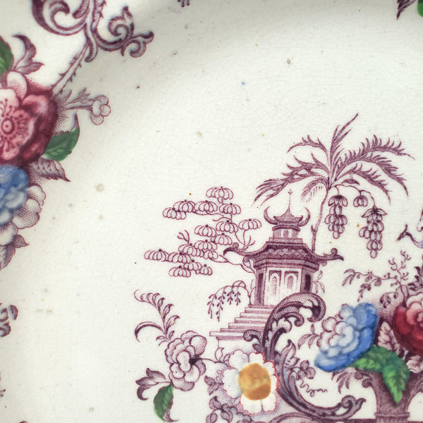 Antique Polychrome Transferware Plate Set of 5 FLORILLA by E. Challinor England