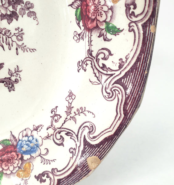 Antique Polychrome Transferware Plate Set of 5 FLORILLA by E. Challinor England