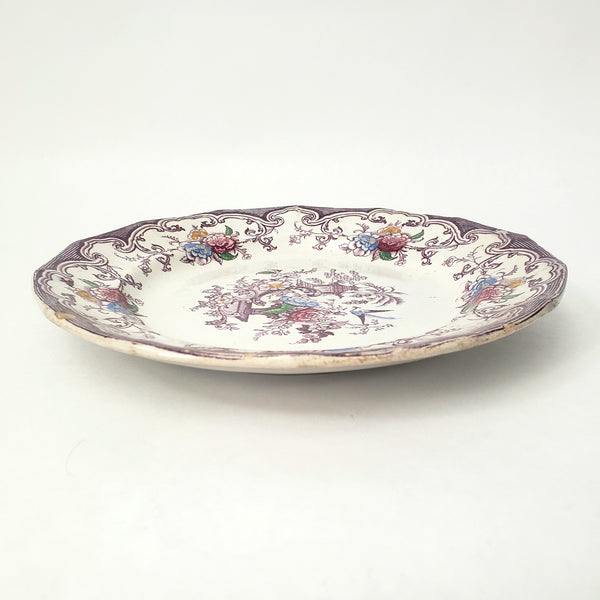 Antique Polychrome Transferware Plate Set of 5 FLORILLA by E. Challinor England