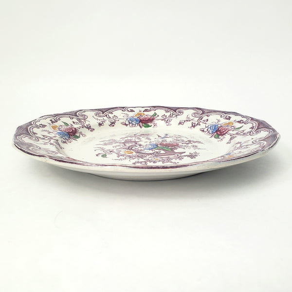 Antique Polychrome Transferware Plate Set of 5 FLORILLA by E. Challinor England