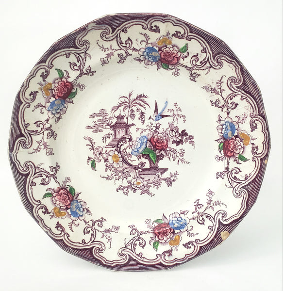 Antique Polychrome Transferware Plate Set of 5 FLORILLA by E. Challinor England