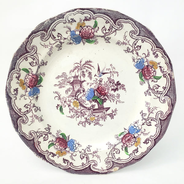 Antique Polychrome Transferware Plate Set of 5 FLORILLA by E. Challinor England