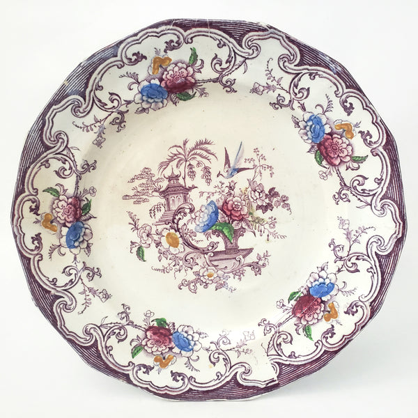 Antique Polychrome Transferware Plate Set of 5 FLORILLA by E. Challinor England