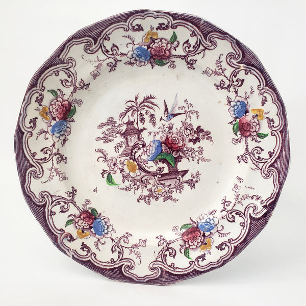 Antique Polychrome Transferware Plate Set of 5 FLORILLA by E. Challinor England