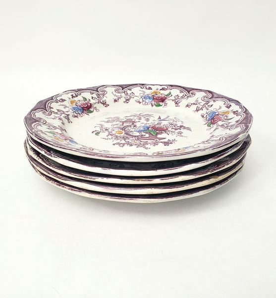 Antique Polychrome Transferware Plate Set of 5 FLORILLA by E. Challinor England