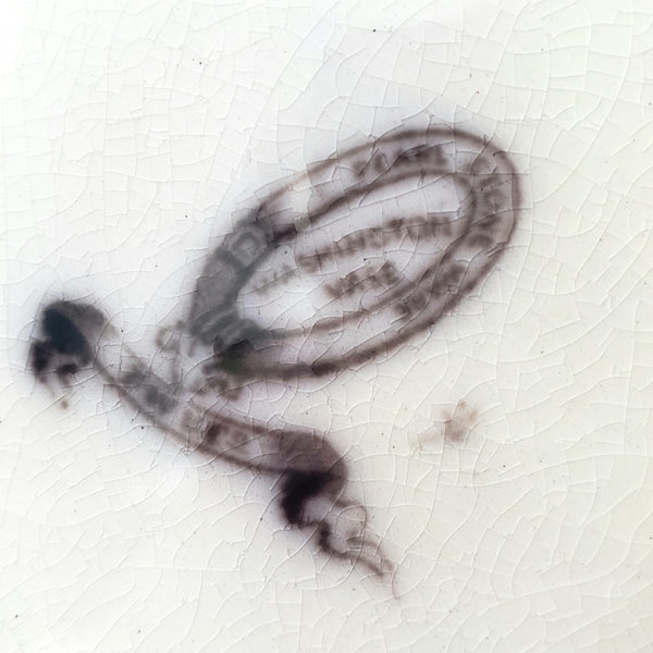 Flow Black Mulberry Pearl Stoneware Transferware Plate Set of 2 Washington Vase PW&Co