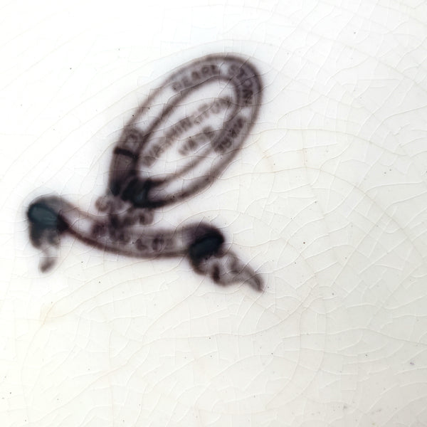 Antique Flow Black Transferware Plate 8 3/4" Washington Vase PW & Co England