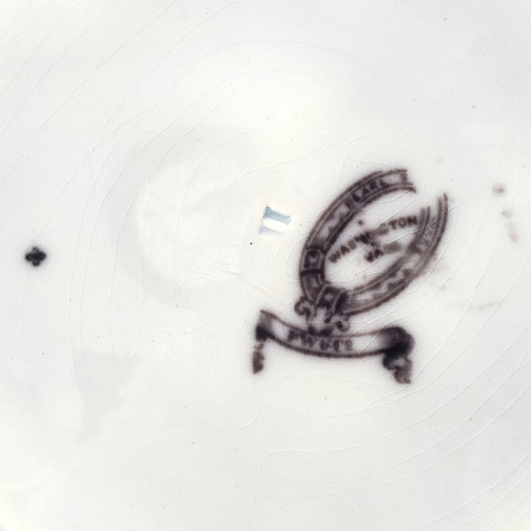 Antique Flow Black Transferware Plate 10" Washington Vase PW & Co England