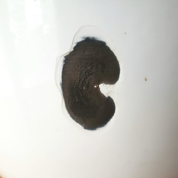 Large Vintage Farmhouse White Enamelware Basin Black Trim