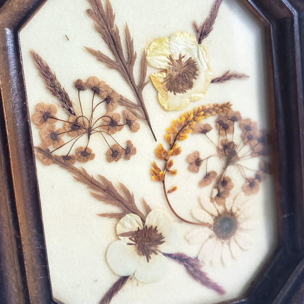 Vintage Small Pressed Flower Framed Art Botanical Wall Art  4 1/2" x 5 1/2"