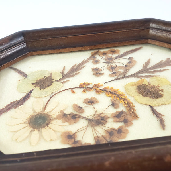 Vintage Small Pressed Flower Framed Art Botanical Wall Art  4 1/2" x 5 1/2"