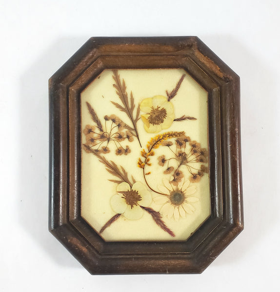 Vintage Small Pressed Flower Framed Art Botanical Wall Art  4 1/2" x 5 1/2"