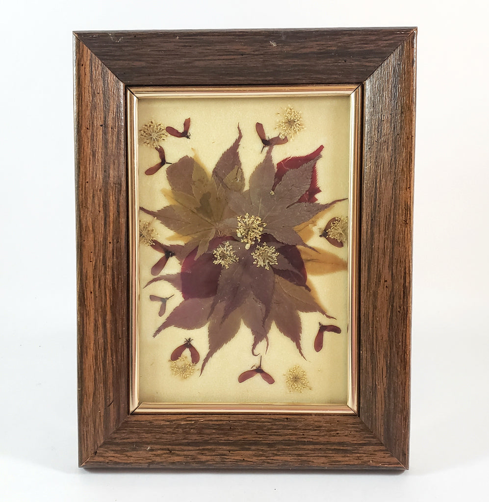 Vintage Pressed Flowers & Foliage Framed Botanical Art 6 1/2" x 8 1/2"