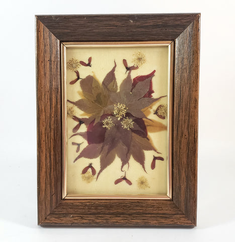 Vintage Pressed Flowers & Foliage Framed Botanical Art 6 1/2" x 8 1/2"