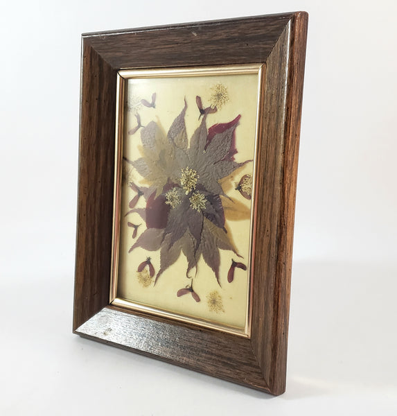 Vintage Pressed Flowers & Foliage Framed Botanical Art 6 1/2" x 8 1/2"