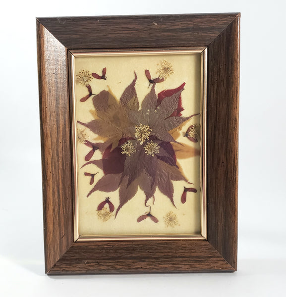 Vintage Pressed Flowers & Foliage Framed Botanical Art 6 1/2" x 8 1/2"