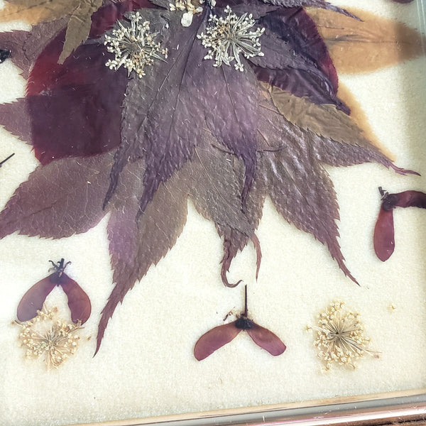 Vintage Pressed Flowers & Foliage Framed Botanical Art 6 1/2" x 8 1/2"