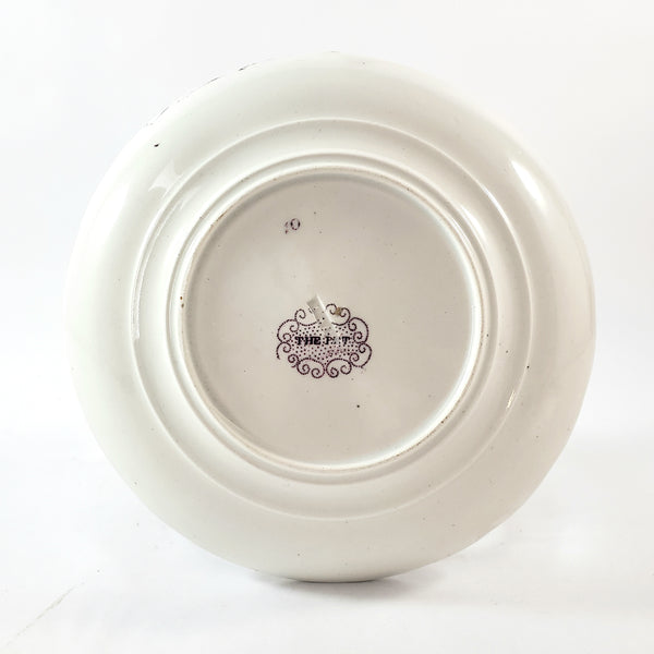 Antique Purple Transferware Handleless Cup & Saucer "The Pet" by Adams England